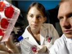 20140919_100832_stem-cell1.jpg