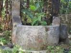 20140920_123032_sumur-tua.jpg