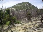 20140924_215653_gunung-ijo-ponorogo-terbakar.jpg