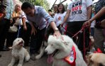 20140928_183501_hari-rabies-sedunia.jpg