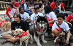 20140928_183559_hari-rabies-sedunia.jpg