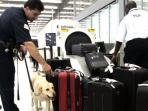 20140929_083609_bandara-chicago.jpg