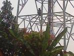20140930_183754_panjat-tower.jpg