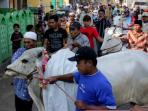 20141004_192031_sapi-kurban.jpg
