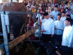 20141005_080618_sapi-jokowi.jpg