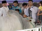 20141005_110555_sby-sapi-kurban-istiqlal.jpg