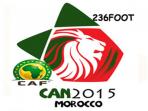 20141012_023337_logo-piala-afrika-2015.jpg
