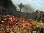 20141016_124424_pemusnahan-bawang-ilegal.jpg