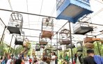 20141020_175507_lomba-kicau-burung-gubernur-cup.jpg