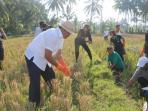 20141022_231740_wakil-gubernur-bali-ketut-sudikerta.jpg