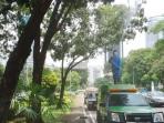 20160408-ulat-bulu_20160408_223929_20160408_233845.jpg