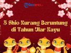3-Shio-yang-Diprediksi-Kurang-Beruntung-di-Tahun-Ular-Kayu.jpg