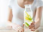 4-minuman-sehat-untuk-detoksifikasi-racun-tubuh-yang-cocok-diminum-saat-pagi-hari.jpg