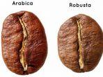 4-perbedaan-kopi-robusta-dan-arabika.jpg