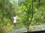 45-orang-rombongan-offroad-terjebak-di-hutan-aceh-ada-8-pejabat-pemkab-terhalang-medan-berat.jpg