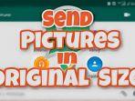 5-cara-kirim-foto-lewat-whatsapp-tanpa-mengurangi-solusi-gambar-tidak-pecah.jpg