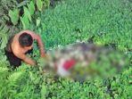 5-hari-tak-pulang-ke-rumah-karena-lupa-ingatan-wak-ono-ditemukan-tewas-mengapung-dalam-kolam.jpg