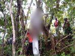 6-fakta-pengantin-baru-ditemukan-gantung-diri-di-pohon.jpg