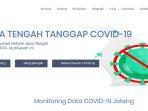 7-link-pantau-penyebaran-covid-19-di-sejumlah-daerah1.jpg