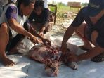 8-cara-mudah-simpan-daging-kurban-agar-tahan-lama-dan-kualitasnya-tetap-baik_20180823_170717.jpg