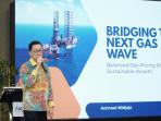 Pemerintah Diminta Fokus Ketahanan Energi, Gas jadi Bagian Transisi Rendah Karbon