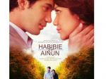 Ainun-Habibie-.jpg