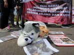 Jakarta Terapkan Larangan Makan Daging Anjing dan Kucing, Pakar: Cegah Penyebaran Penyakit Menular