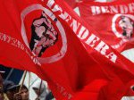 Aktivis-LSM-Bendera.jpg