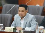 Ekspatriat Pimpin BUMN, Komisi VI DPR: Jangan Dipaksakan