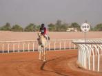 Atlet-camel-race-Indonesia-Muhhammad-Ikhwannudin.jpg