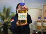 Paradoks B50: Menggugat Kedaulatan Energi di Atas Ketidakpastian Investasi Sawit