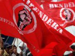 BENDERA-LSM.jpg