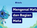Bagian-bagian-Mata-dan-Fungsinya.jpg