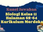 Berikut-kunci-jawaban-Biologi-kelas-11-halaman-62-64-Kurikulum-Merdeka-oo.jpg