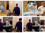 Bobby-Kertanegara-kucing-kasta-tertinggi.jpg