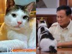 Bobby-Kertanegara.jpg