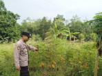 Bripka Ady Susilo Ajak dan Dampingi Warga Desa Rimba Terab dalam Pelaksanaan Program P2B