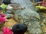 Buaya-Sangkulirang-Kaltim.jpg