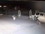 CCTV-Pelajar-SMP-Tewas-Dikeroyok.jpg
