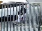 Kakek 70 Tahun Coba Diculik Pakai Fortuner di PIK, Dua Pelaku Teridentifikasi