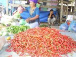 Cabai-Merah-Singkil.jpg