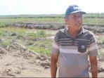Program Cetak Sawah Kementan Disebut Dorong Perekonomian Petani di Kalimantan Tengah