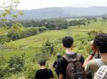 Crop-Circle-Jogya-1.jpg