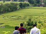 Crop-Circle-Jogya-9.jpg