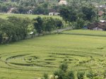 CropCircle07.jpg