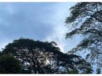 Prakiraan Cuaca Kota Bogor Hari Ini, Senin 15 September 2025: Berawan Siang hingga Malam