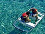 Diving-pulau-menjangan.jpg
