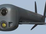 Drone-model-AeroVironment-Switchblade-300.jpg