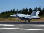 EA-18G-Growler1223.jpg