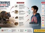 Antisipasi Hantavirus, Inggris Borong Pasokan Obat Avigan dari Jepang